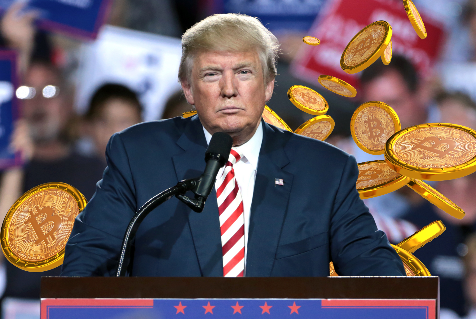 World Liberty Financial : Trump fonde sa propre plate-forme de  cryptomonnaie - Le Collectif